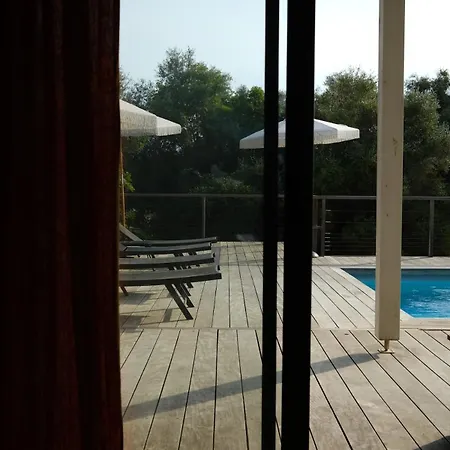 Des Geckos - Bottom Of Holiday home Cargese