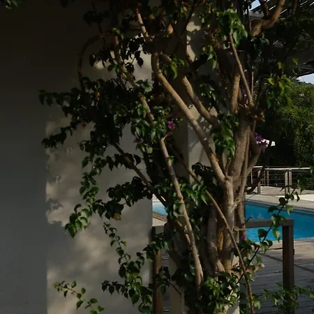 Holiday home Des Geckos - Bottom Of *