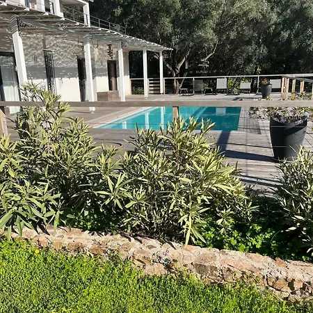 Des Geckos - Bottom Of Holiday home