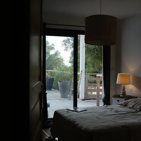 Des Geckos - Bottom Of Holiday home *